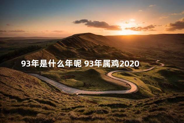 93年是什么年呢 93年属鸡2020年运势